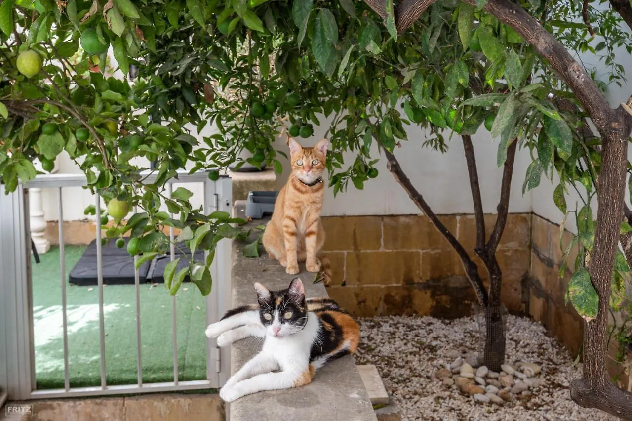 Close To Airport, Double Bedroom, Sofa-Bed, Private Bathroom For Adults And Children Aged 10 And Over Only Gudja Malta